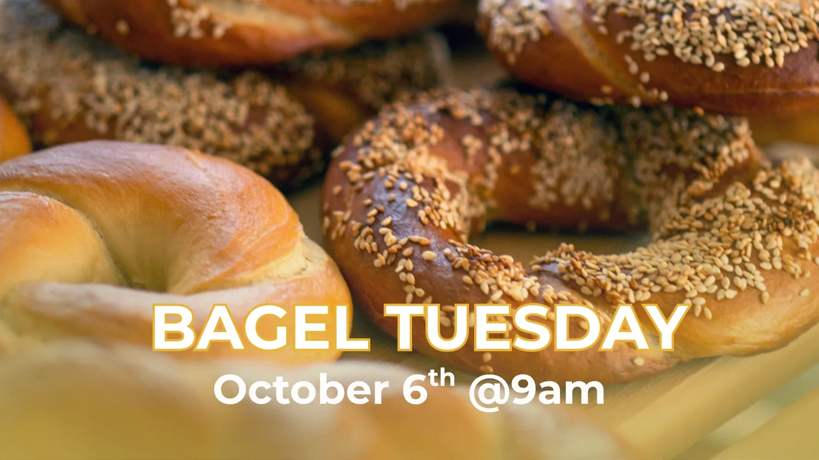 Bagel Tuesday
