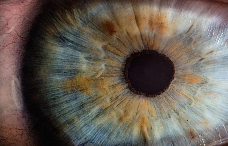The Eyes Have Had It. How to Reduce Digital Eye-Strain
