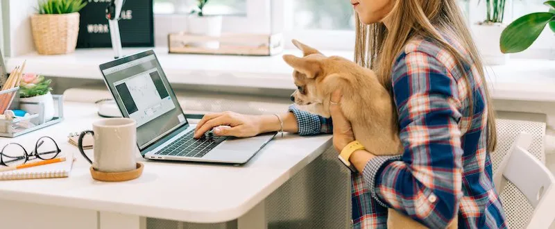 Dog at Work