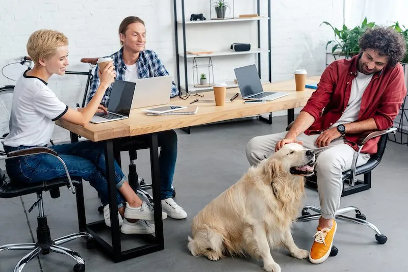 Dog at Work